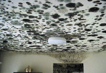 schimmel-plafond-360x250.jpg